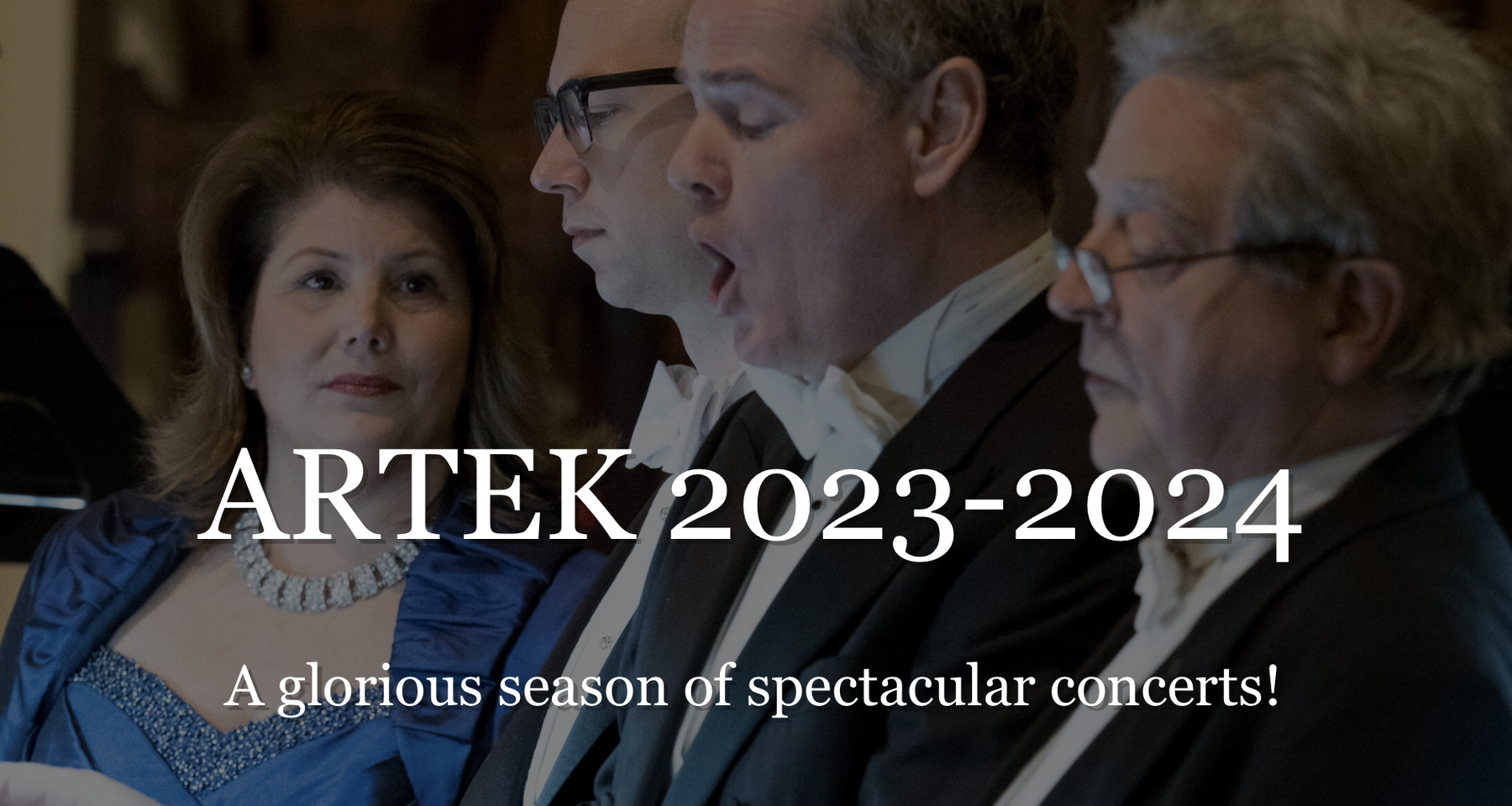 ARTEK Concert Bundle