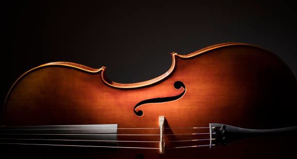 Cello x 2: Bach, Vivaldi, Philip Glass and more - SUNSET PICNIC CONCERT