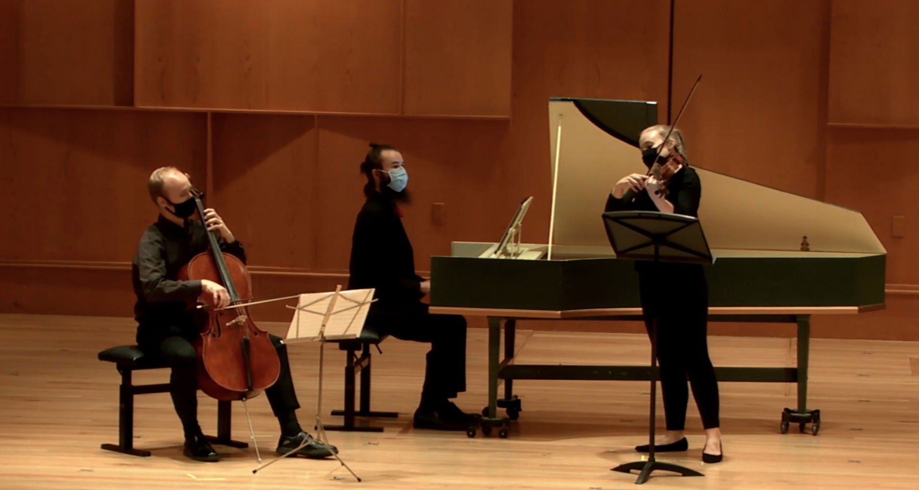 Telemann Harpsichord Viola & Cello Trio, Bach Cello Suite 4 and a Hobgoblin