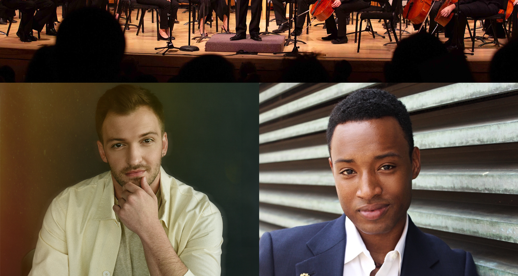 Parlando Presents: The Other Mozart Effect