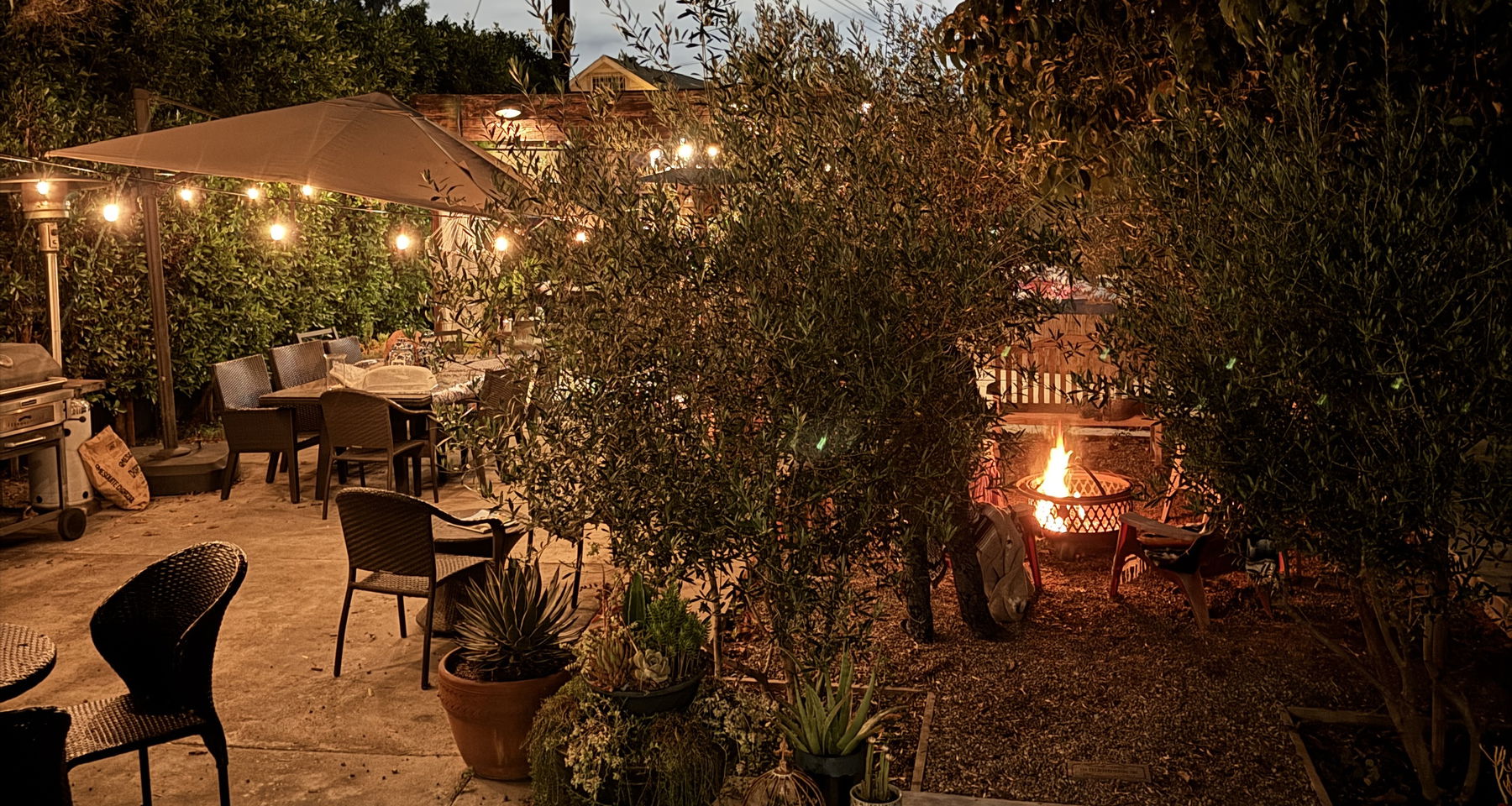 A Beautiful Evening of Live Jazz...
