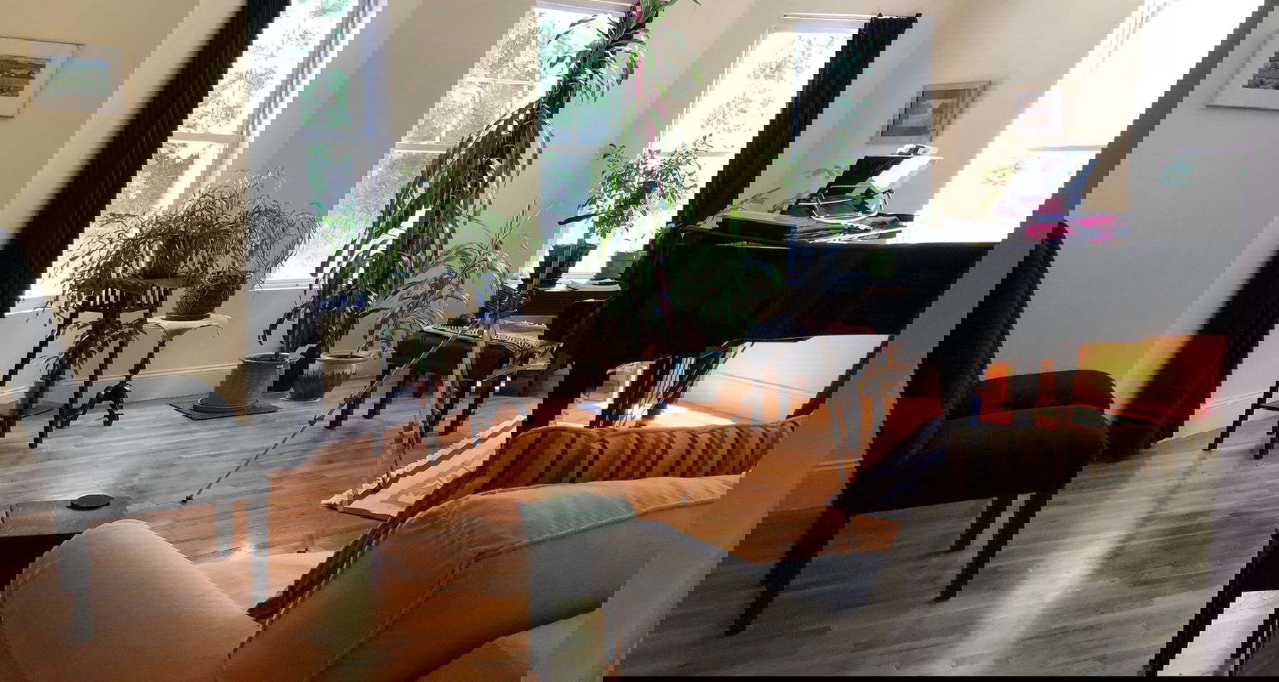 piano salon:  Haydn, Chopin, Prokofiev