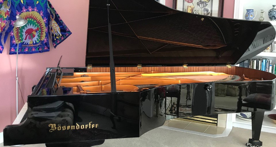Cristian Budu, pianist