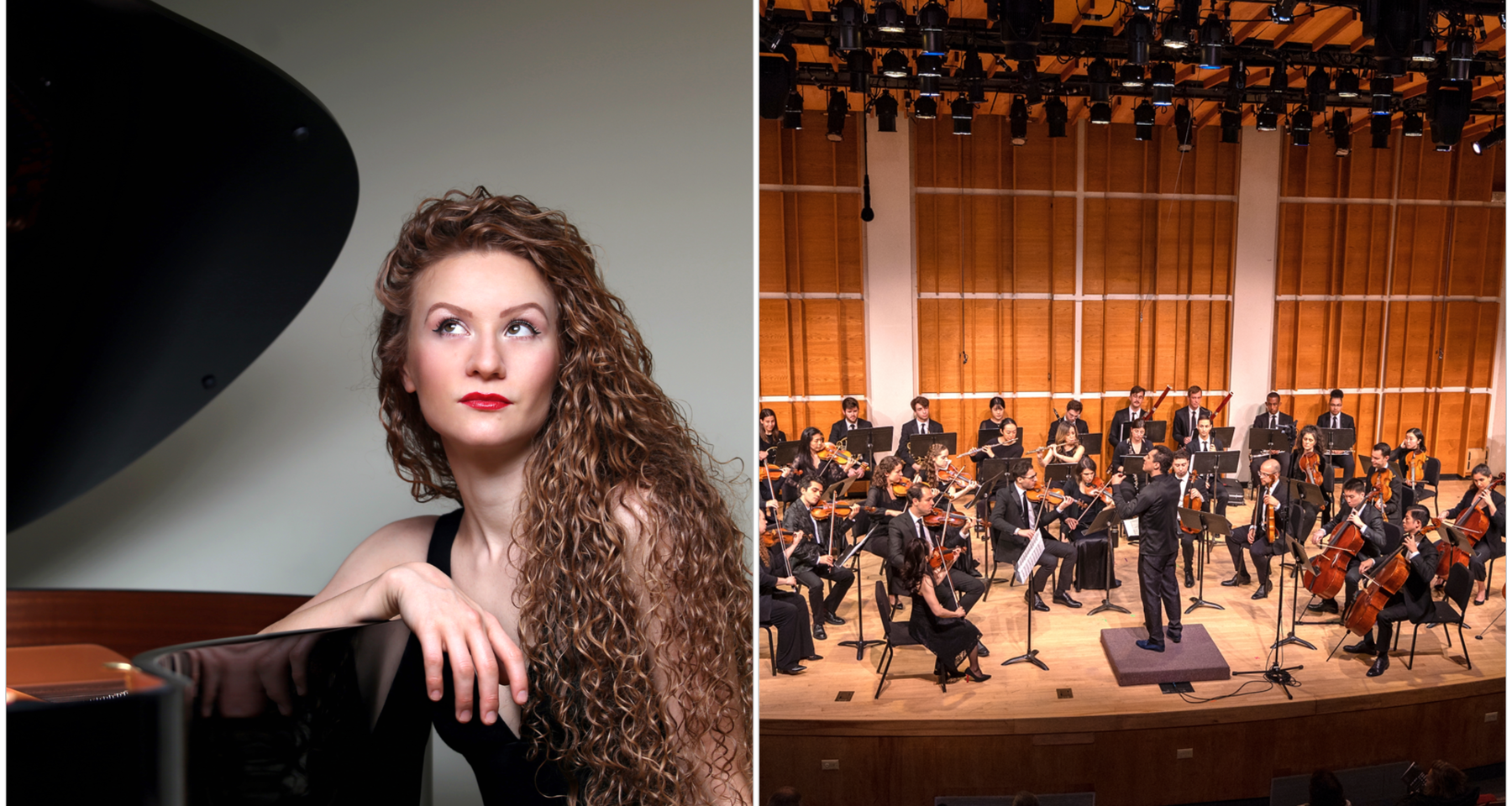 Pegasus The Orchestra Presents: Brahms & The Schumanns