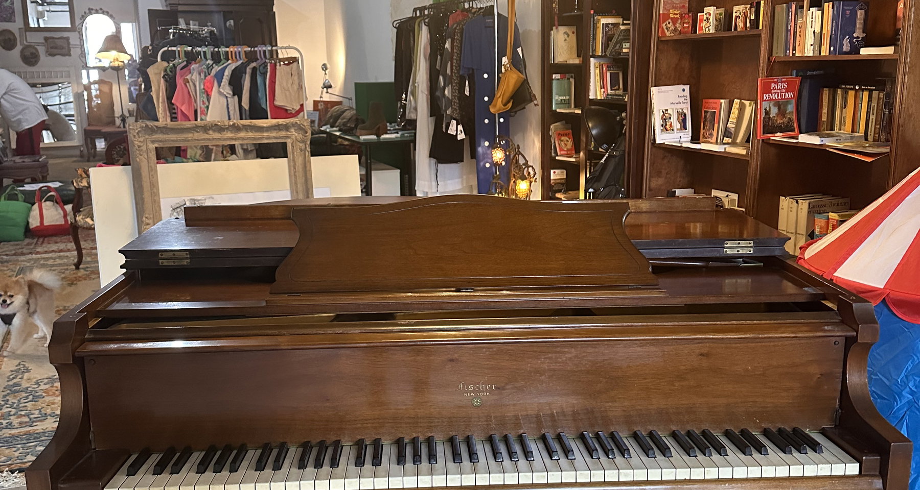 Sonatas for a Summer Evening